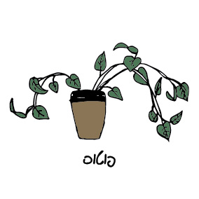 איור של פוטוס