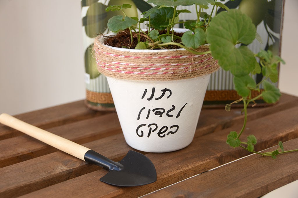 יצירה לט"ו בשבט - עציצים